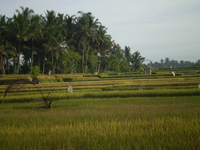 [P5240031.JPG]