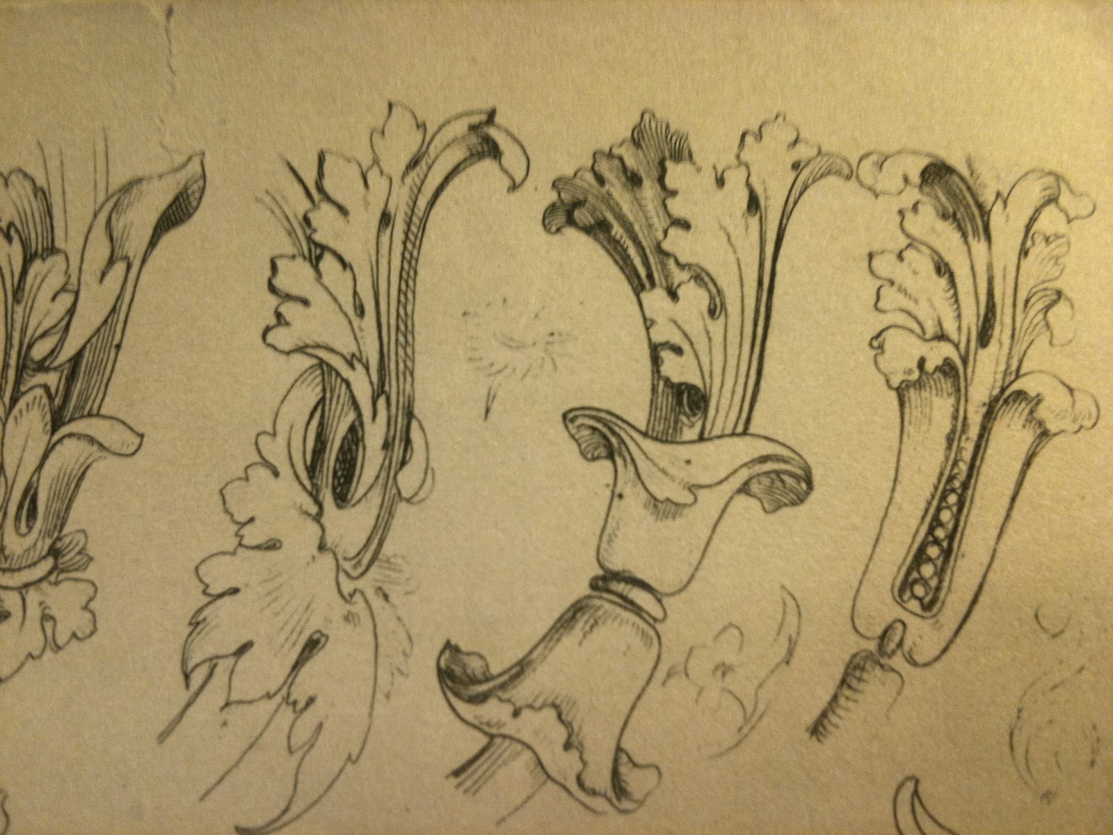 surface fragments: How to draw the Acanthus, Part II