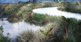 marsh mosaic merged