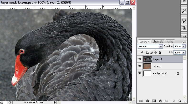 [layer+mask+3.jpg]
