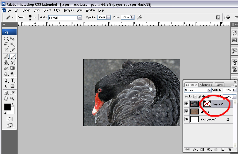 [layer+mask+9.jpg]