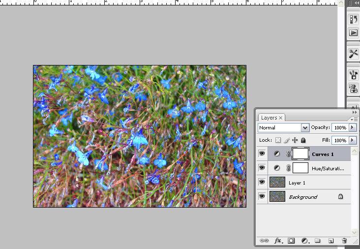 [adj+layer+5a.jpg]