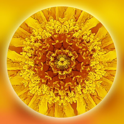 sunflower mandala