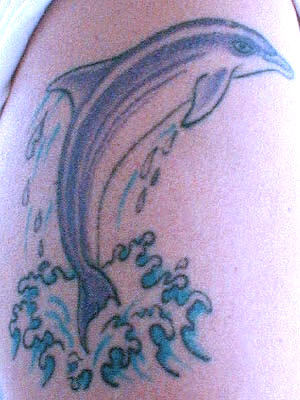 blue dolphin tattoo designs have always traditionally spelled good luck for 