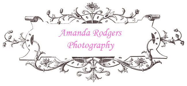 Amanda Rodgers Photography