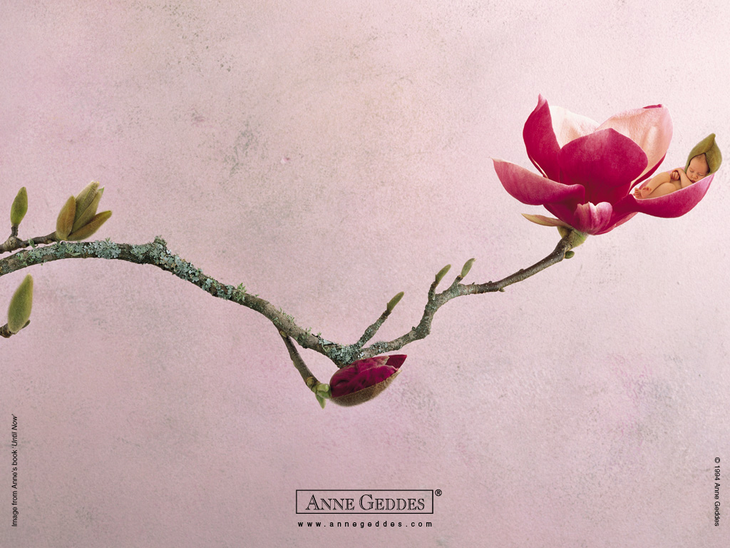 [AnneGeddes_Wallpaper1024_42.jpg]