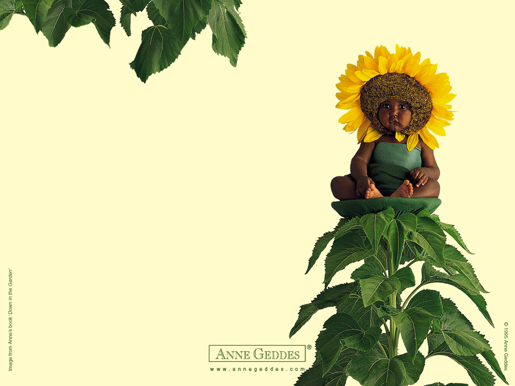 [AnneGeddes_Wallpaper1024_260.jpg]