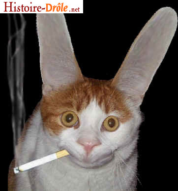 [image-drole-30.jpg]