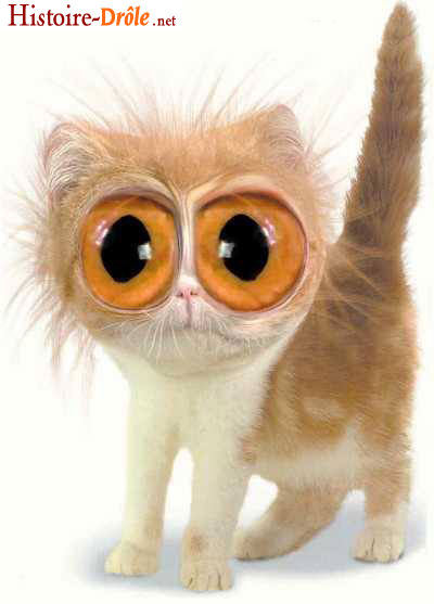 [image-drole-99.jpg]