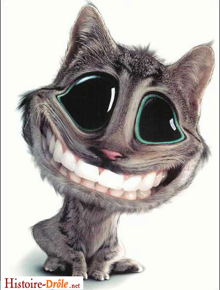 [image-drole-92.jpg]