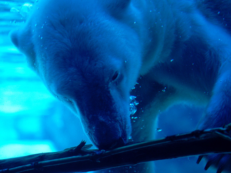 [Behind%20Glass.jpg]