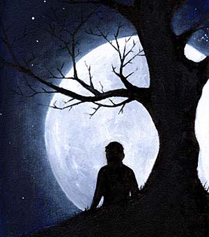 [070725solitude.jpg]