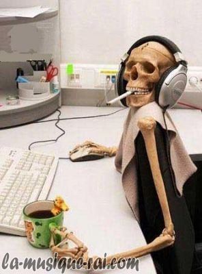 [071127044053_drole-de-zic.jpg]