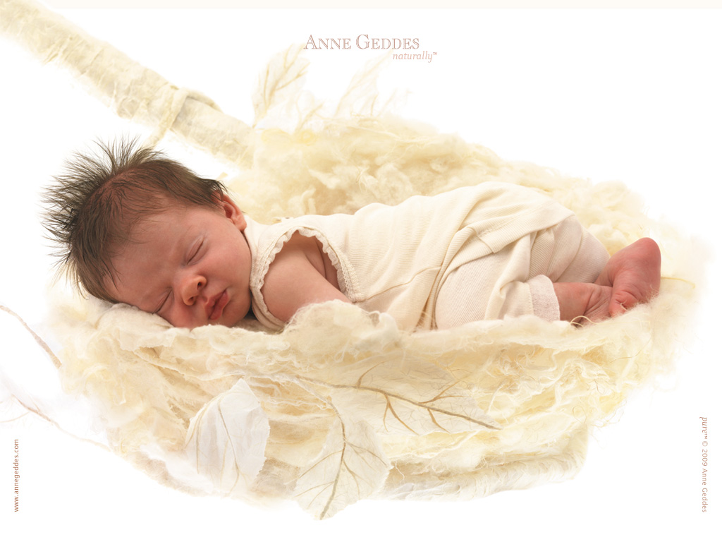 [AnneGeddes_Wallpaper1024_360.jpg]