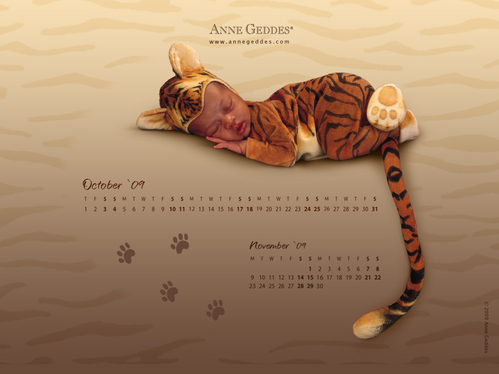 [AnneGeddes_Wallpaper1024_364.jpg]