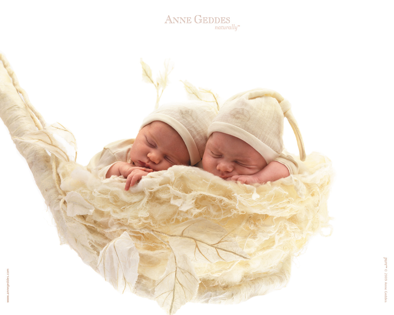 [AnneGeddes_Wallpaper1280_361.jpg]