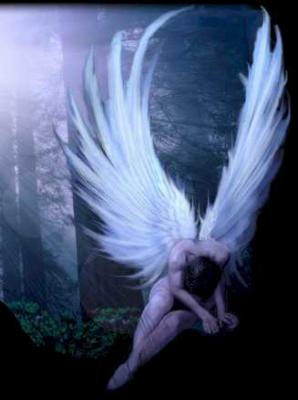 [588554380_small.jpg]