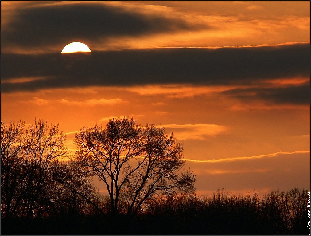 [galerie-membre,coucher-soleil,melancolie.jpg]