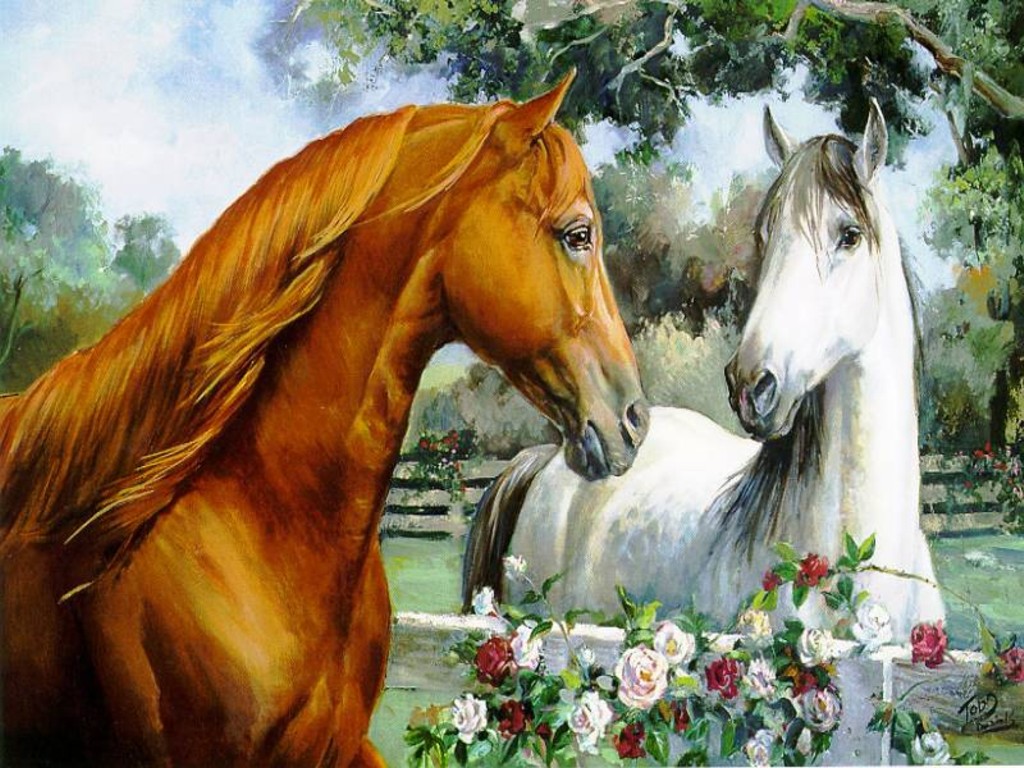 horse+love (image)