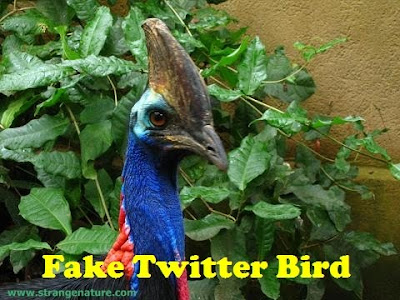 Fake Twitter Birds