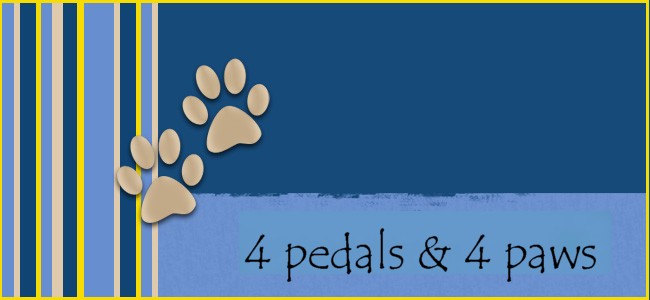 4 pedals & 4 paws