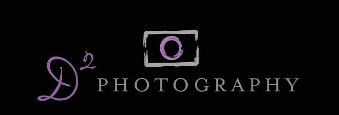 D2 Photography Pricing