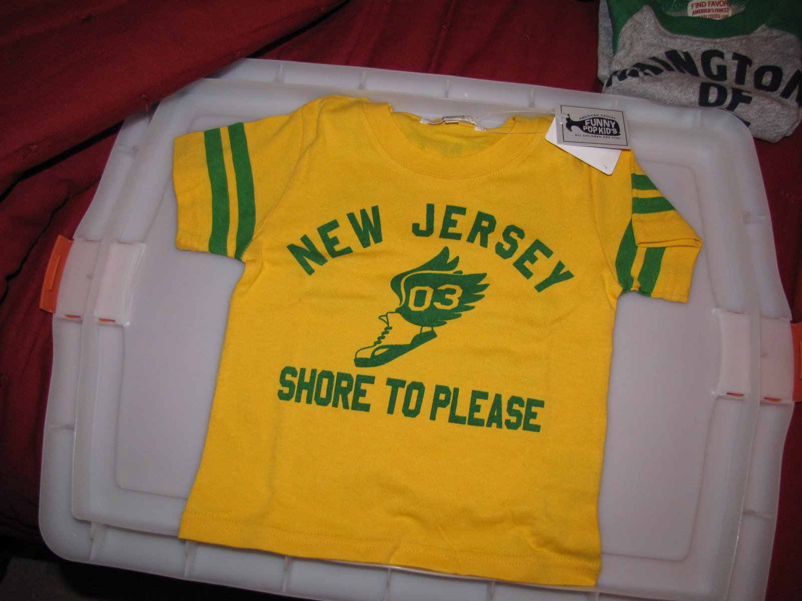[japan_shirt2.JPG]