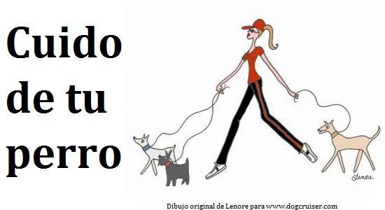 Cuido de tu perro