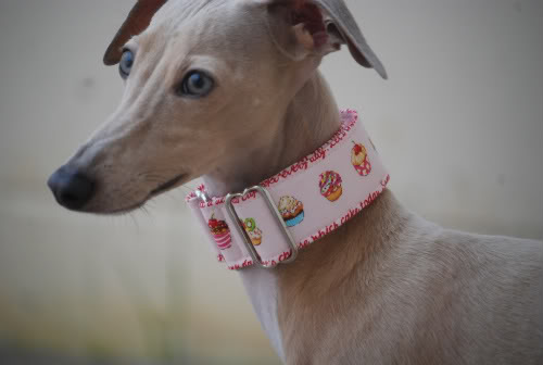 love the collar