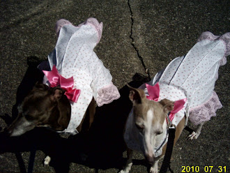 back from our walk