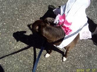 Angel loves her bow too