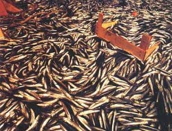 [Resim_1225965090.jpg]