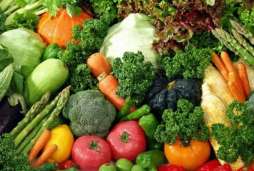 [kıs+beslenmesi.jpg]