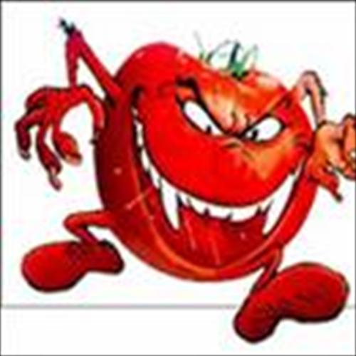 [GDOLU+ÜRÜNLER.jpg]