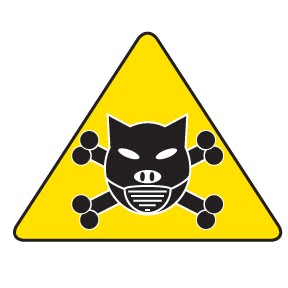 [domuz+gribi+ölüm+vakaları.jpg]