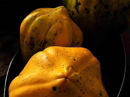 Mudas Frutíferas (Nativas e Exóticas) - Frutabella