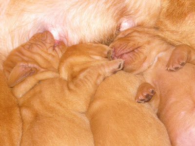 DSCF2734.JPG