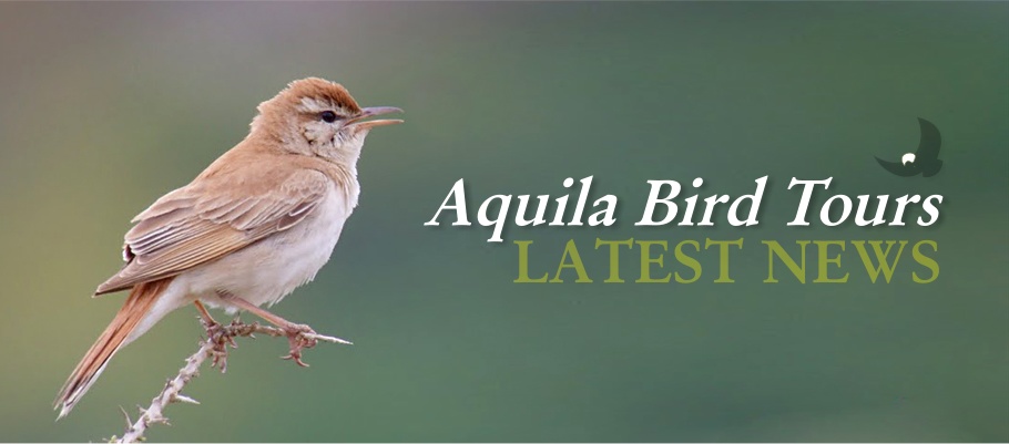 Aquila Bird Tours