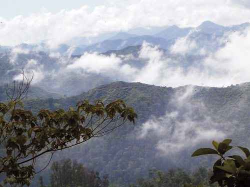 EL PROGRESO,HONDURAS, EN FOTOS: Reserva Ecológica de La Montaña Mico Quemado(Mountain  Ecological Reserve)