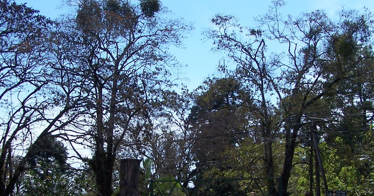 Leandro N. Alem, Misiones, Argentina