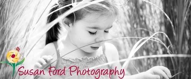 Susan Ford Photography