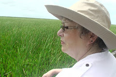 Karen Bodeen, marshlands