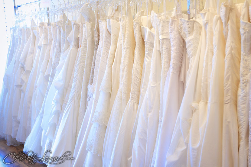 [the-jealeous-bridesmaid-wedding-dresses.jpg]