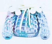 [casaquinhobiscuit.JPG]