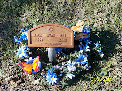 Wreath I made for Jack: Blue flowers and butterflies