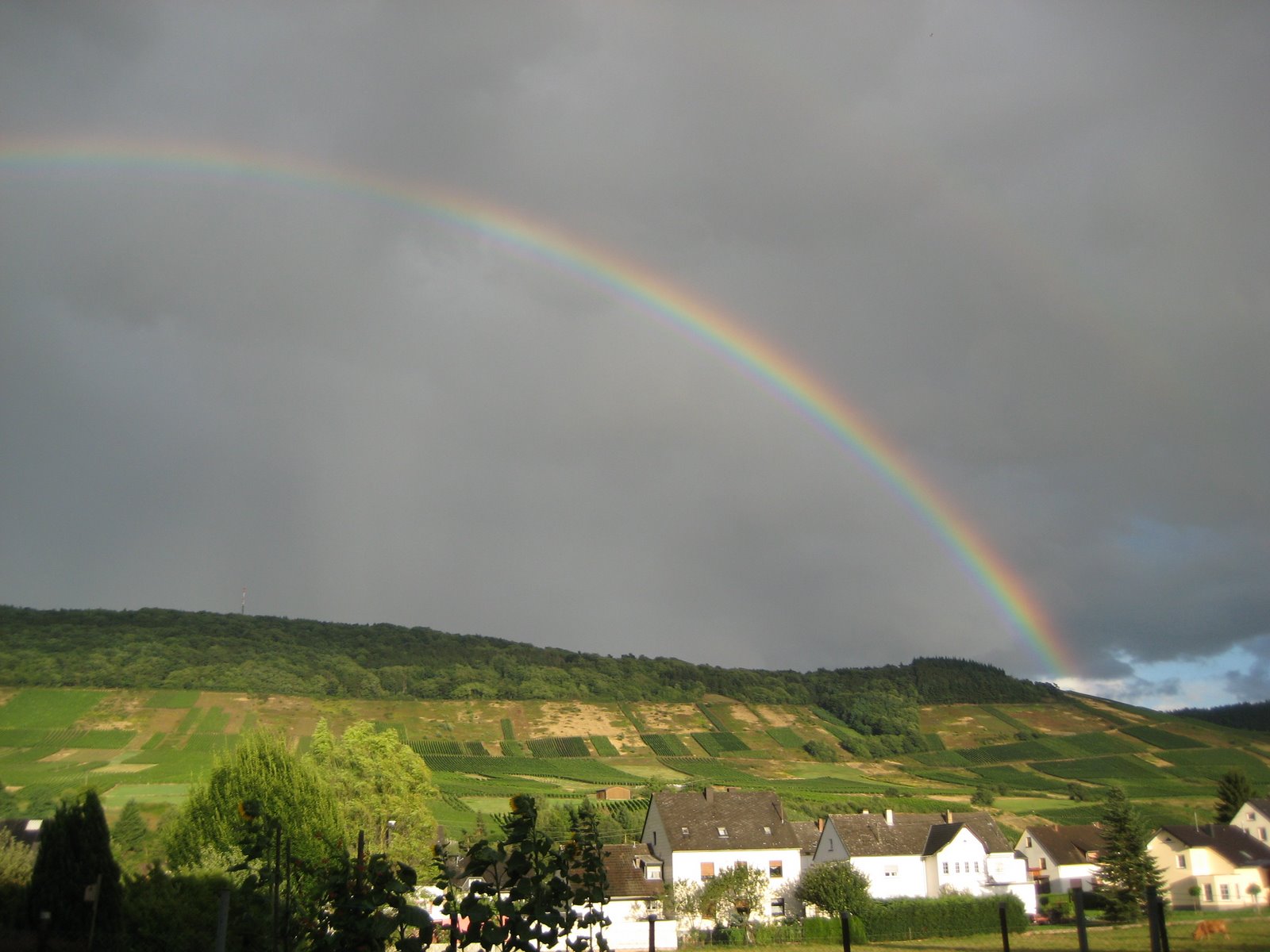 [IMG_0668.JPG]