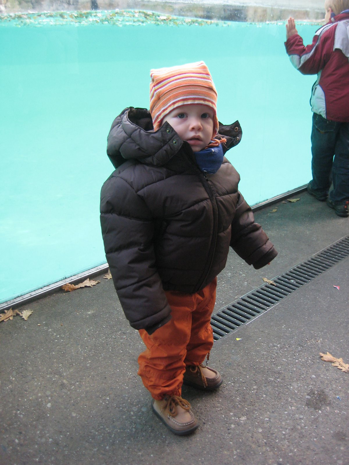 [IMG_2607.JPG]