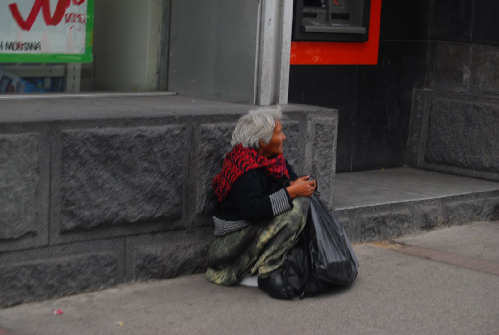 [DSC_0493.JPG]
