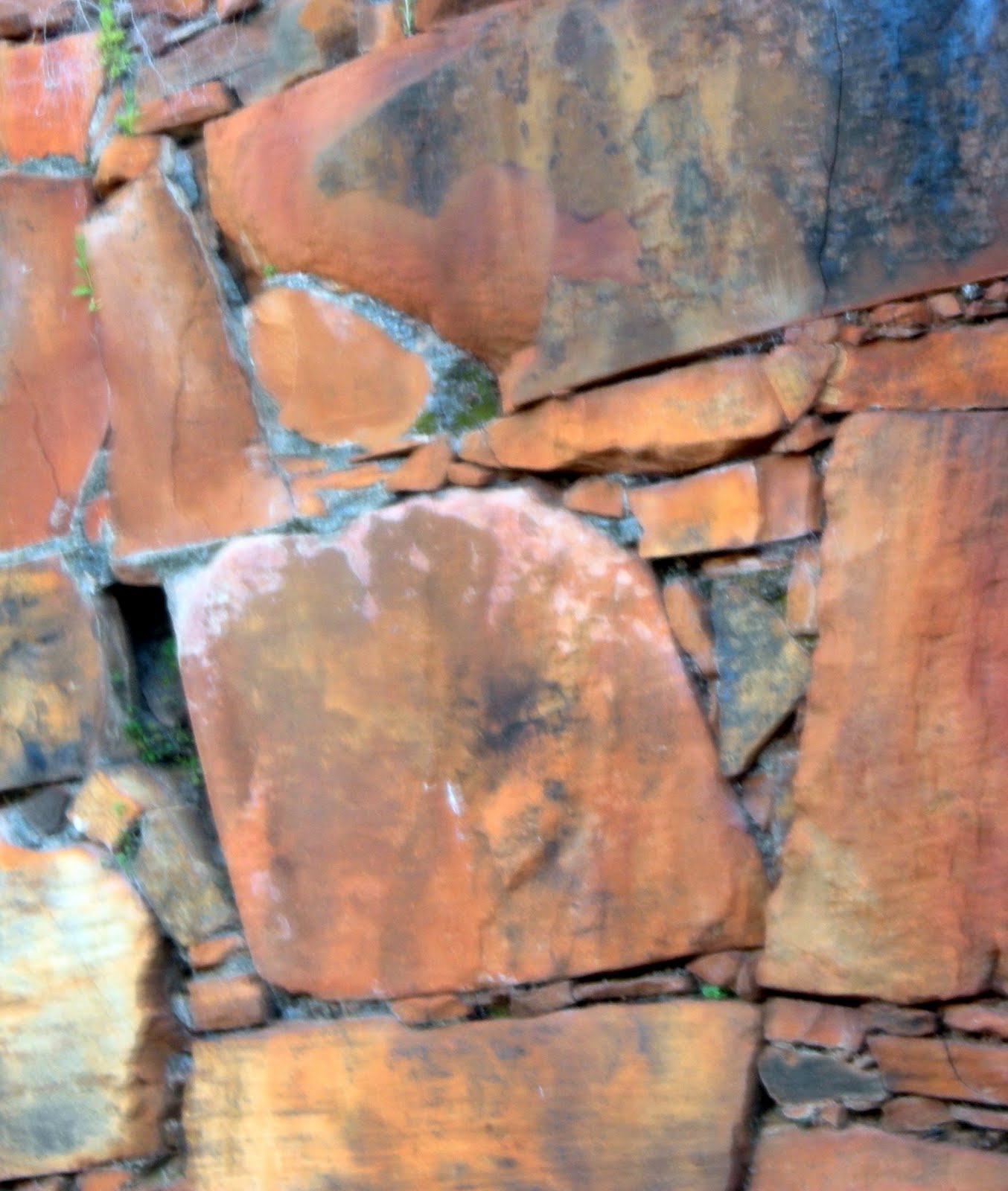 BANDEJA DE ENTRADA Ojos azules Arturo PérezReverte inicio