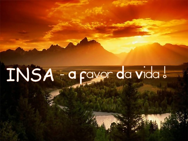 INSA - A Favor da Vida